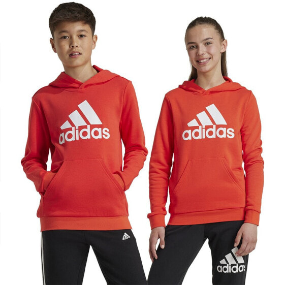 ADIDAS Big Logo Essentials Cotton hoodie