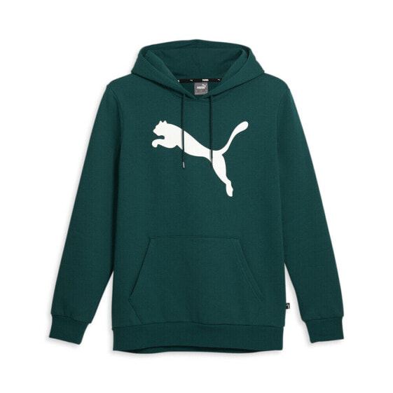 Puma Cat Logo Pullover Hoodie Mens Green Casual Outerwear 67271243