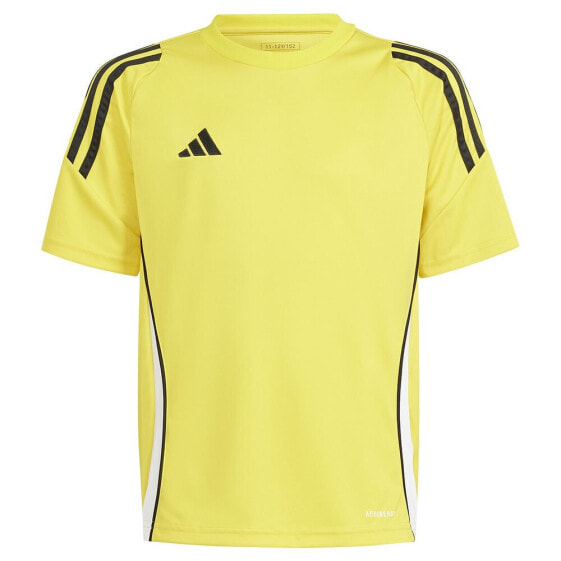 ADIDAS Tiro24 long sleeve T-shirt