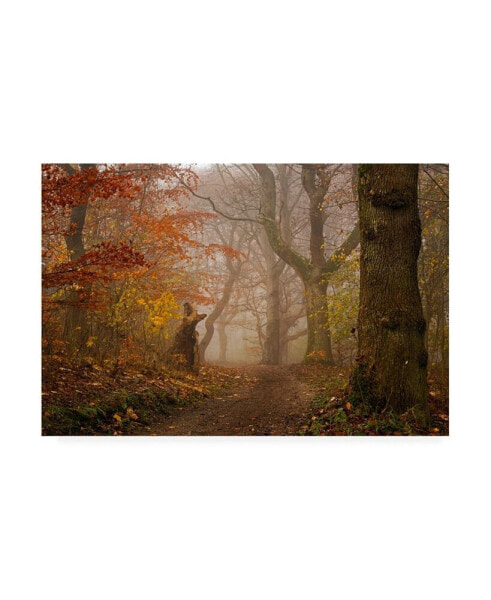 Leif Londal My Autumn Walk Canvas Art - 15" x 20"