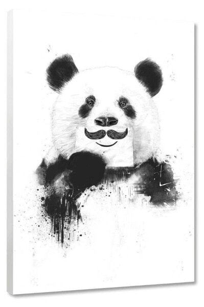 Leinwandbild Funny Panda