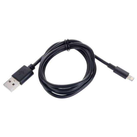 Ansmann Lightning/ USB-A 100