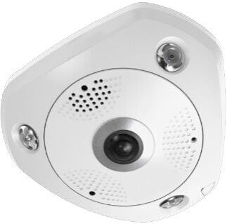 LevelOne IPCam FCS-3095 Dome In 12MP H.265 12W PoE - Network Camera