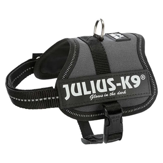 JULIUS K-9 Power Harness