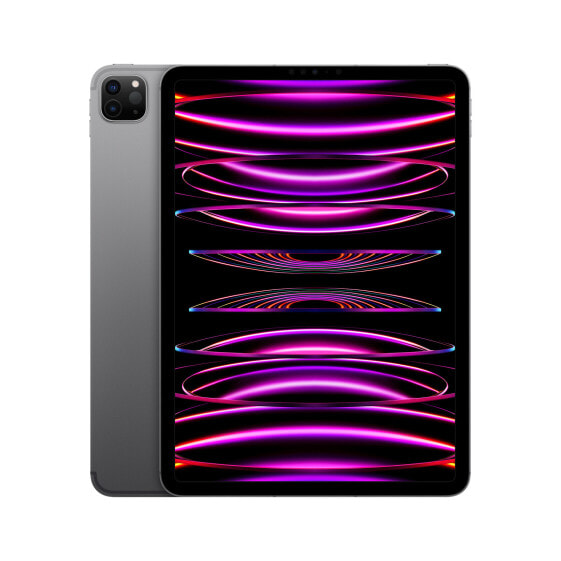 Apple iPad Pro Wi-Fi 1,000 GB Gray - 11" Tablet - M2 27.9cm-Display