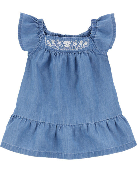 Baby Embroidered Chambray Dress 24M