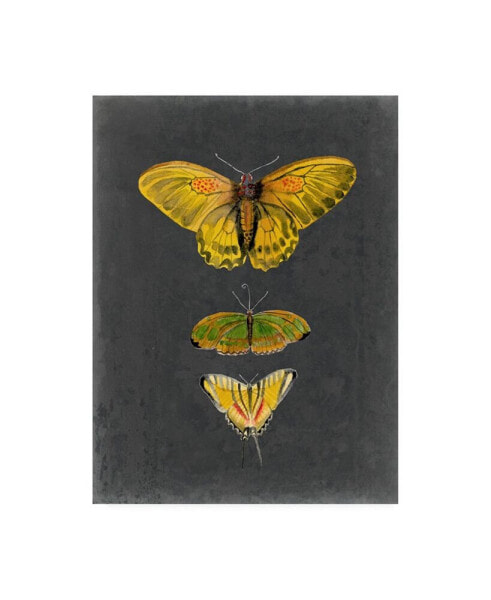 Naomi Mccavitt Butterflies on Slate I Canvas Art - 20" x 25"