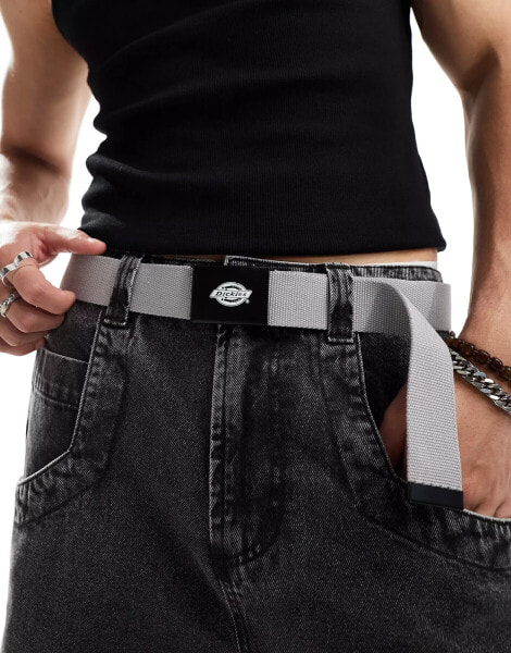 Dickies orcutt belt in grey