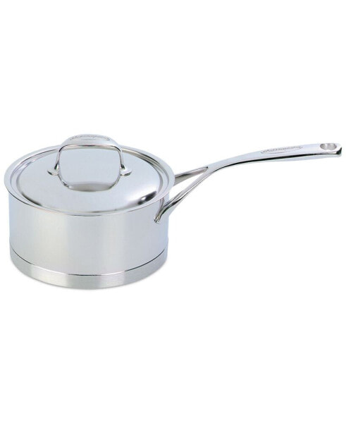 Atlantis 3.2-Qt. Stainless Steel Saucepan & Lid