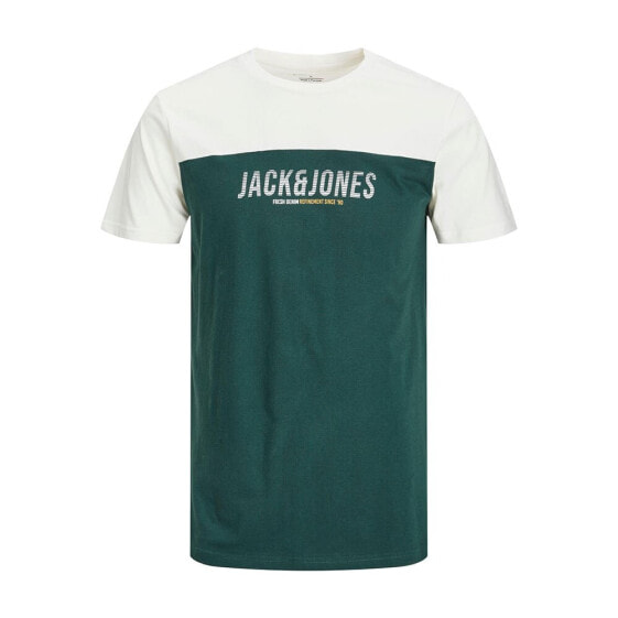 JACK & JONES Edan Blocking short sleeve T-shirt