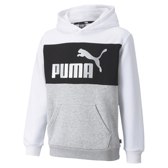 PUMA Essential+Colorblock hoodie