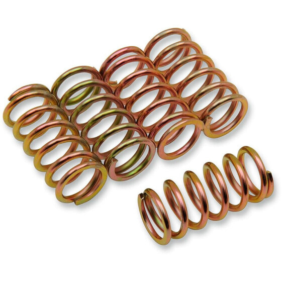 BARNETT Honda/Harley Davidson/Kawasaki/Suzuki 501-45-05050 Clutch Spring Kit 5 units