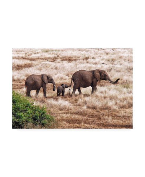 Izonevision Robert D Abramson Elephant Family Tanzania Canvas Art - 15" x 20"