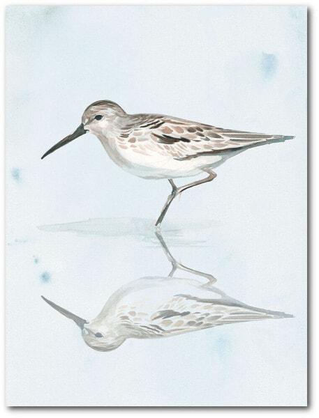 Sandpiper Reflections II Gallery-Wrapped Canvas Wall Art - 18" x 24"