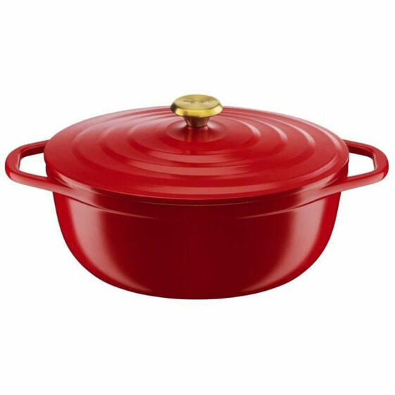 Кастрюля Tefal E2548904 Красный 30 x 23 cm