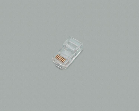 BKL Electronic 142141, 4-pin 4P/4C (RJ10), Transparent, Male, Straight, Plastic, Gold
