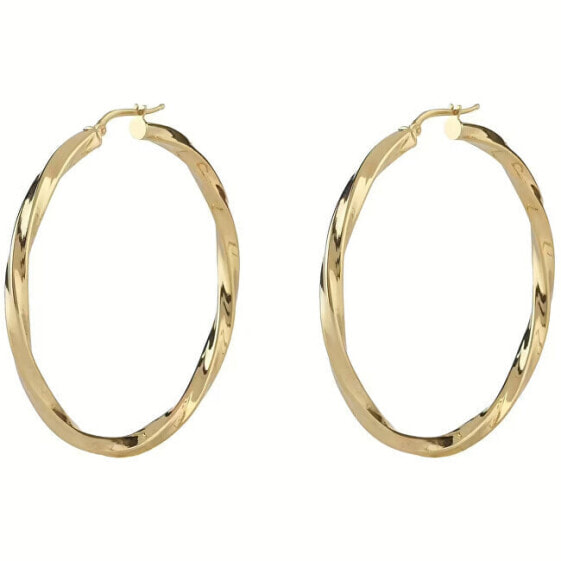 Fashion hoop earrings Hoops I Did It Again JUBE04184JWYGT/U