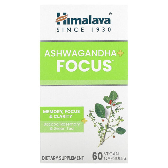 Ashwagandha + Focus , 60 Vegan Capsules