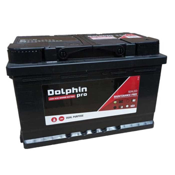 DOLPHIN CHARGER Pro 70A Battery