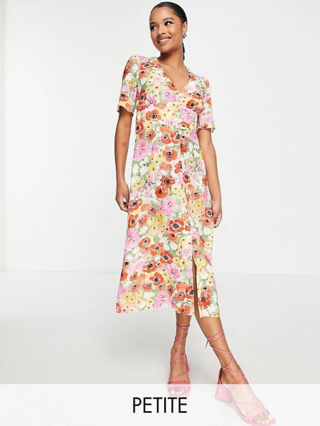 Nobody's Child Petite Alexa in multicoloured poppy print