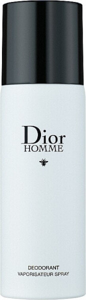 Dior Homme 2020