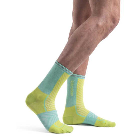 ICEBREAKER Merino Run+ Ultralight Crew socks