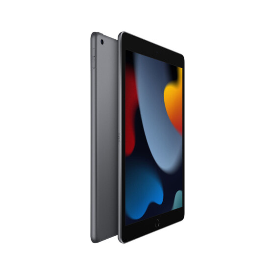Apple iPad 10.2 Wi-Fi 256 GB Gray - 10.2" Tablet - A13 25.9cm-Display