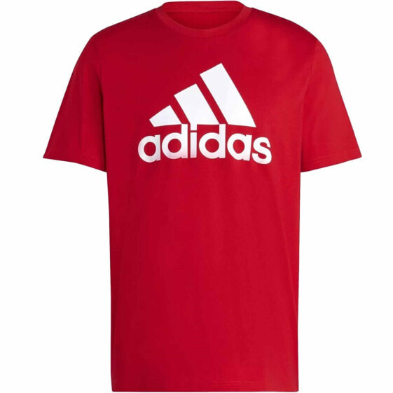 Adidas M BL SJ T