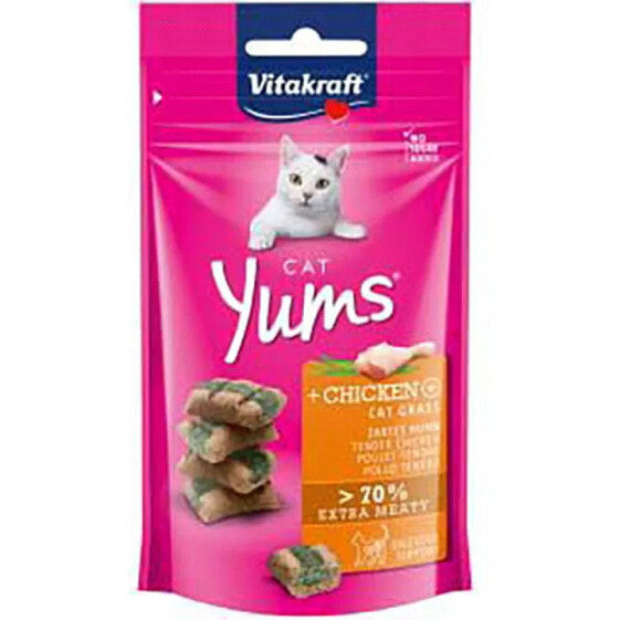 VITAKRAFT Cat Yums 9x40 gr chicken and catnip snack