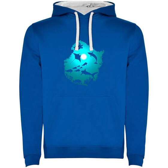 KRUSKIS Underwater Dream Two-Colour hoodie