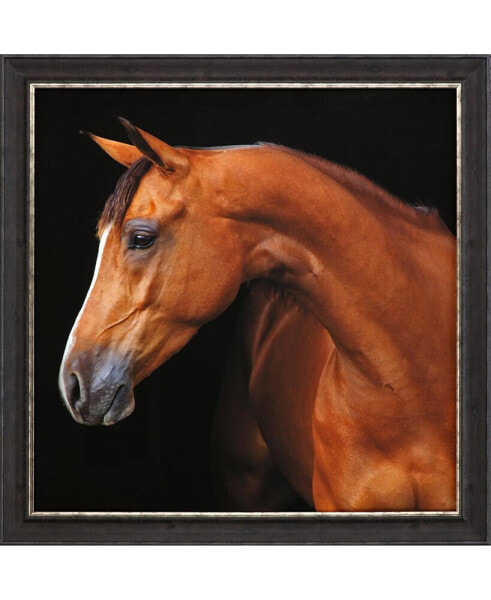 Jack The Horse Framed Art
