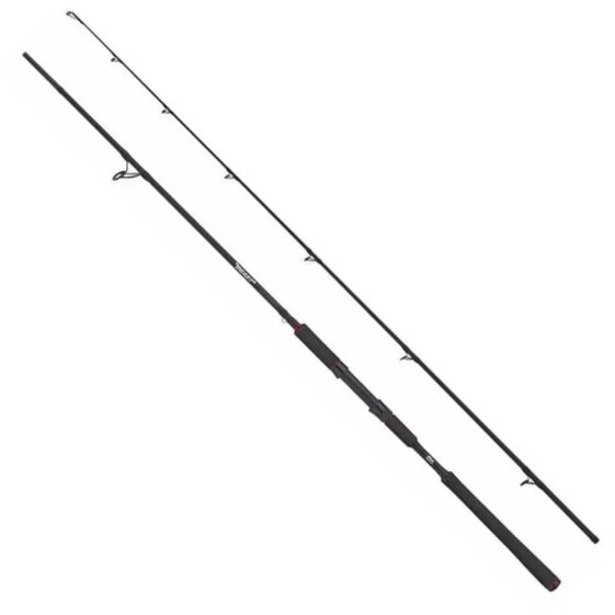 ABU GARCIA Beast Pike spinning rod