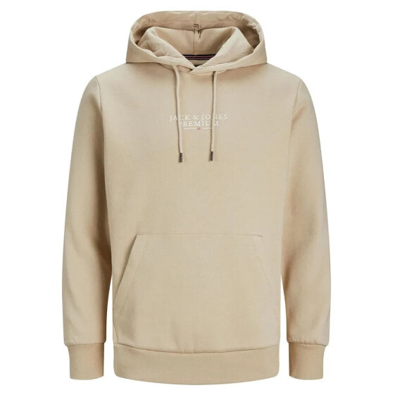 JACK & JONES Bluarchie hoodie