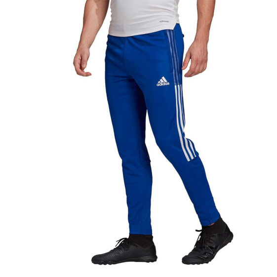 ADIDAS Tiro 21 Training pants