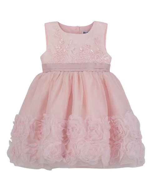 Baby Girls Fit-and-Flare Embroidered Dress with Rosettes