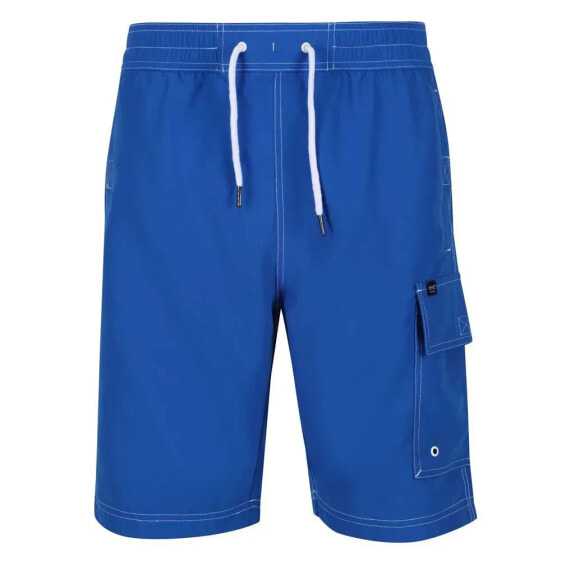 REGATTA Hotham IV Swimming Shorts