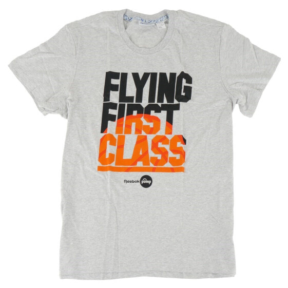 Мужская футболка спортивная серая с надписями Reebok Classic Flying 1ST Graphic