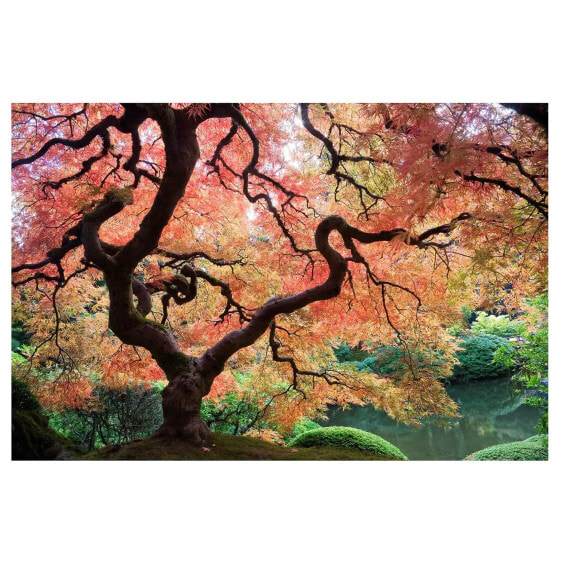 Обои Bilderwelten Японский сад
