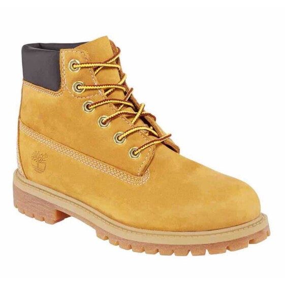 Ботинки Timberland 6´´ Premium WP Youth