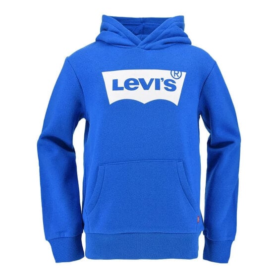 LEVI´S ® KIDS Batwing Screenprint hoodie