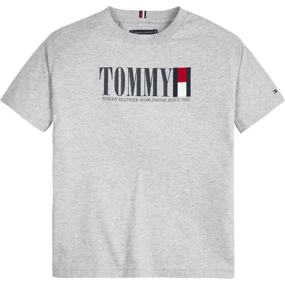 TOMMY HILFIGER Graphic short sleeve T-shirt