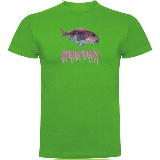 KRUSKIS Dentex short sleeve T-shirt