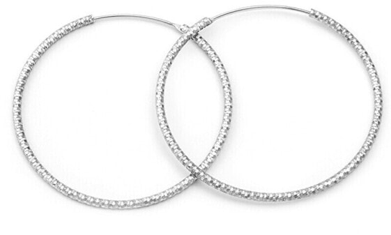 Luxury round silver earrings AGUC787