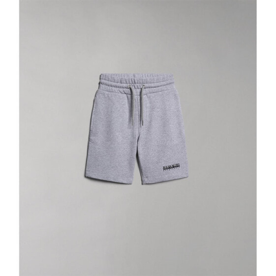 NAPAPIJRI N-Box 1 Shorts