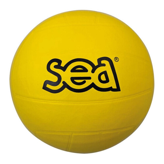 Мяч футбольный SEA Multi
