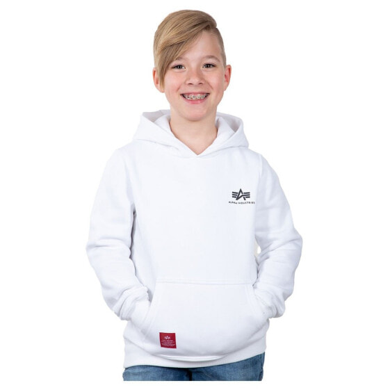 ALPHA INDUSTRIES Basic Small Logo hoodie