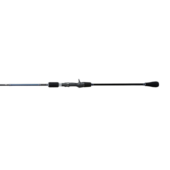 Shimano TALAVERA TYPE SLOW J CASTING, Saltwater, Jigging, Casting, 6'6", Medi...