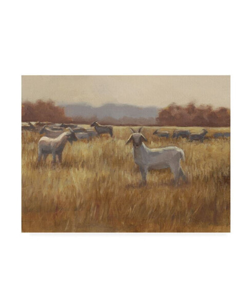 Ethan Harper Grazing Goats I Canvas Art - 15" x 20"