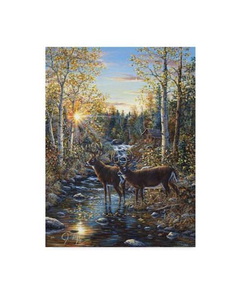 Jeff Tift 'Whitetail Deer' Canvas Art - 14" x 19"