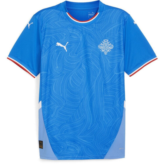 PUMA Iceland 23/24 home short sleeve T-shirt